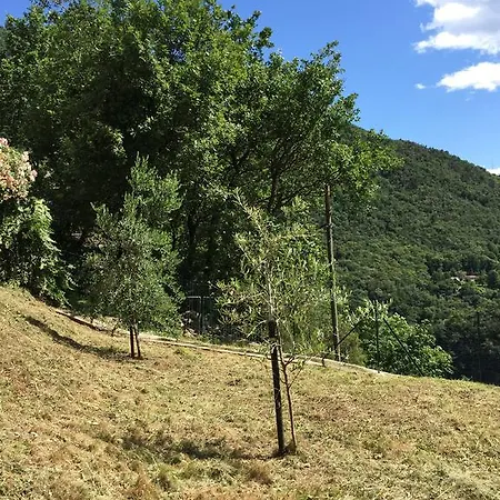 La Terrazza Lägenhet